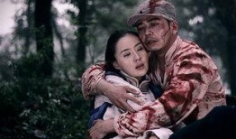 电视剧冒牌英雄在线观看,揭秘幕后英雄的传奇故事